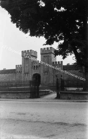 TULLAMORE GAIL : GENERAL VIEW